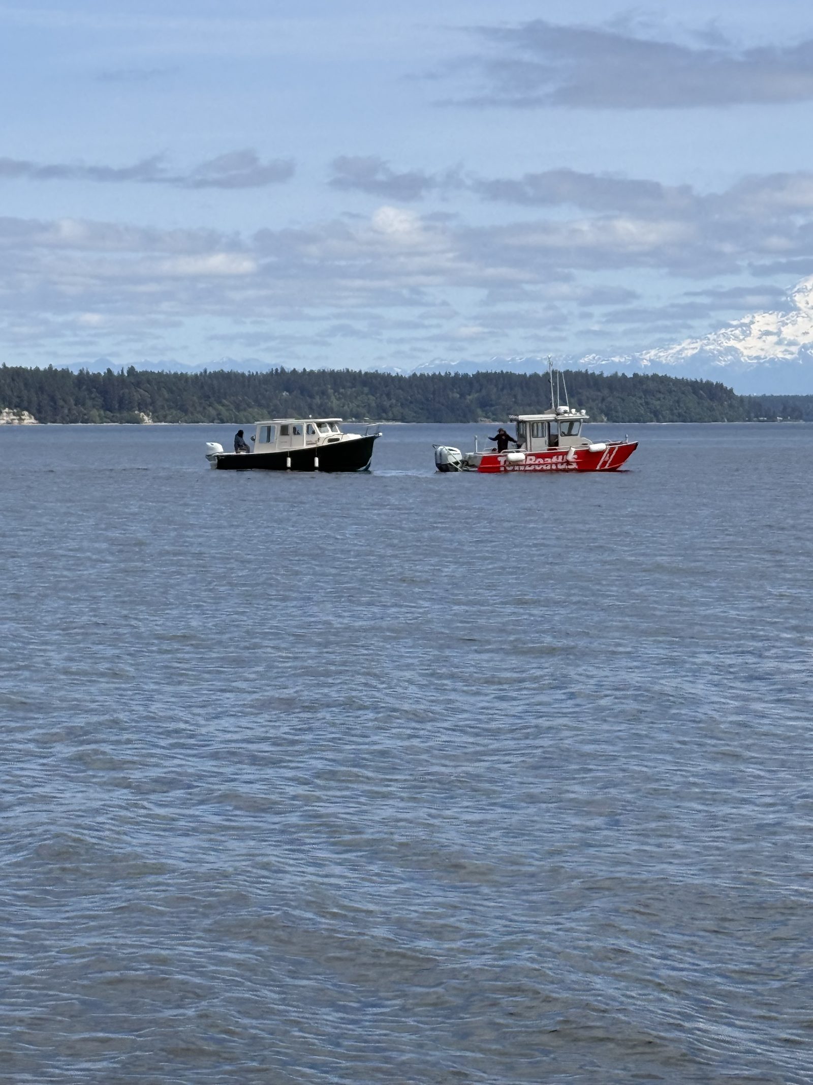 Boats at anchor with a snow-capped peak in the distance